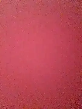 pricilanunes webcam