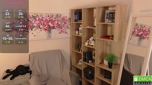 Sue_Sanders webcam