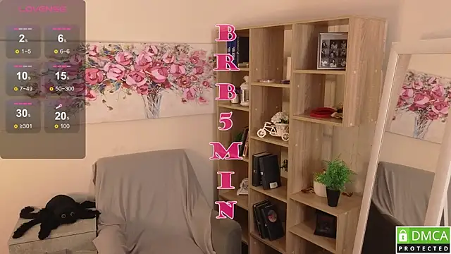 Sue_Sanders webcam