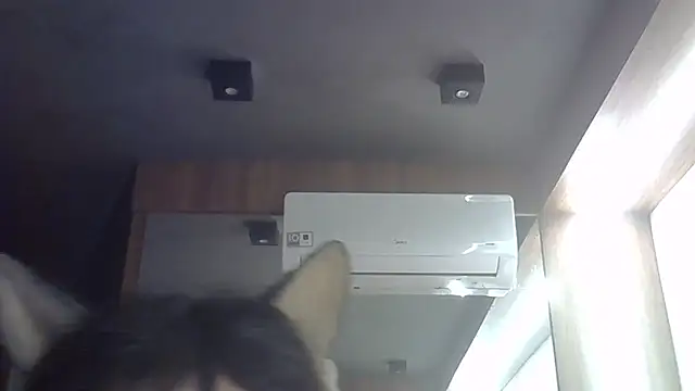 SkinnyKitten webcam