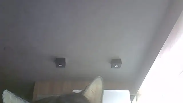 SkinnyKitten webcam