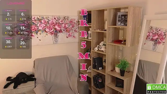 Sue_Sanders webcam