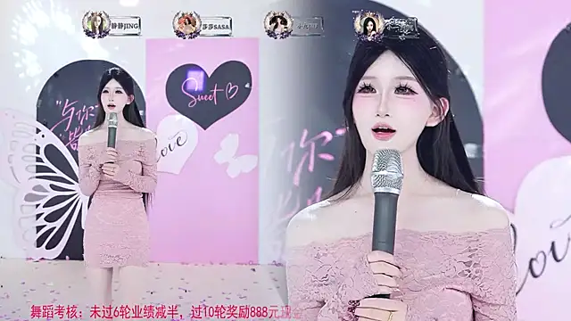 TY-002 webcam