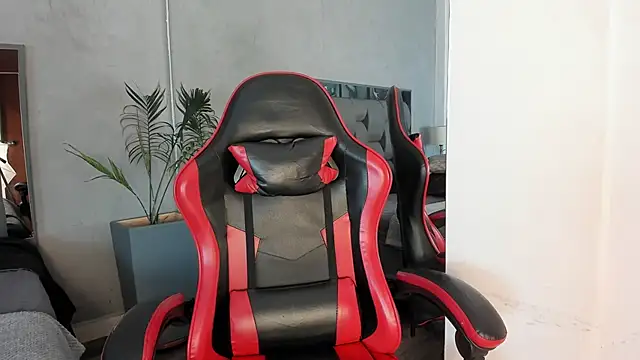 Charlie___Musk webcam