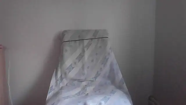 fl3xxx1 webcam