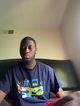 ThickDic28 webcam