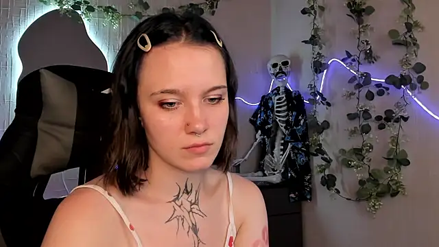 Elastikisss webcam