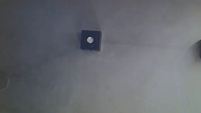 SkinnyKitten webcam