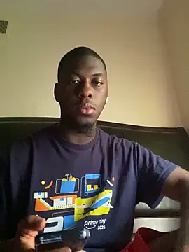 ThickDic28 webcam