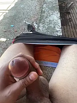 cavalloarabo69