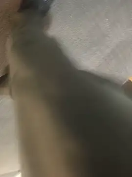 hotboy43339 (M young) - Jerking