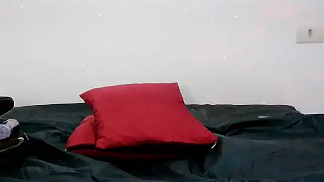 Veronnaink webcam