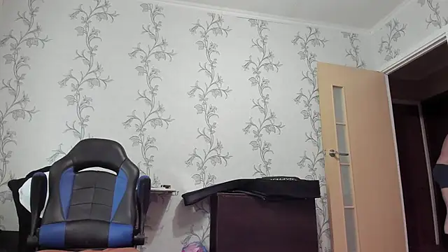 SanFrantsisko webcam