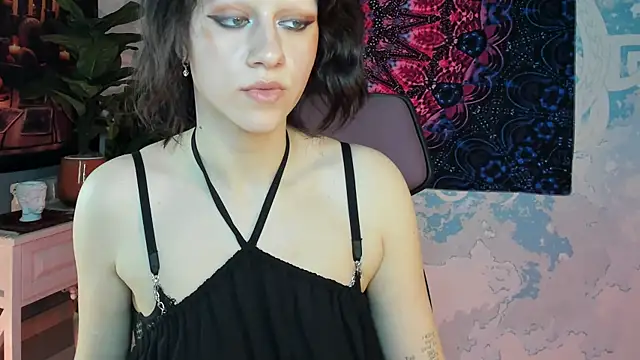 LidaDarknet webcam