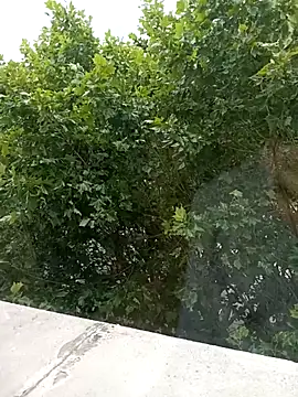 Fun_yacine webcam