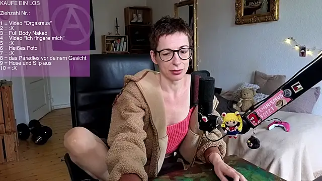 Antifistin webcam