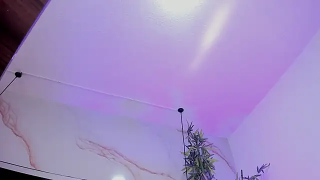 Ibbie_drastic webcam