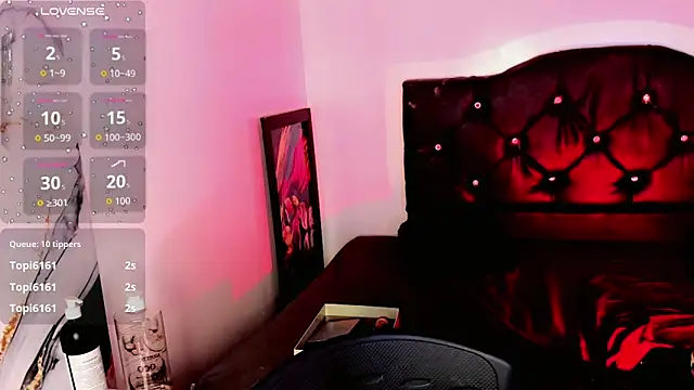 rosedewitt webcam