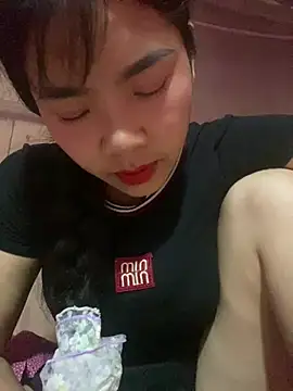 Nul_chal webcam