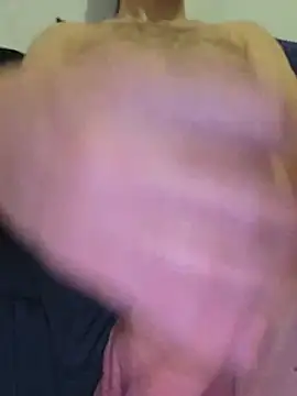 Stefanparis webcam