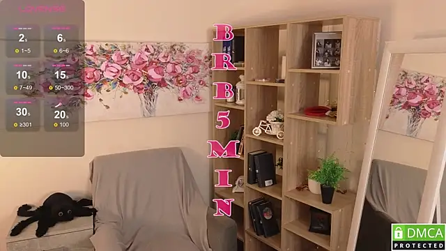 Sue_Sanders webcam