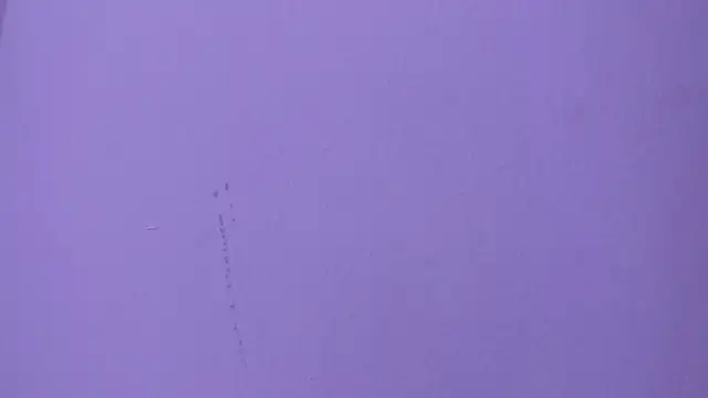 camila_scoth webcam