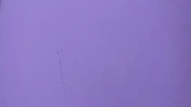 camila_scoth webcam