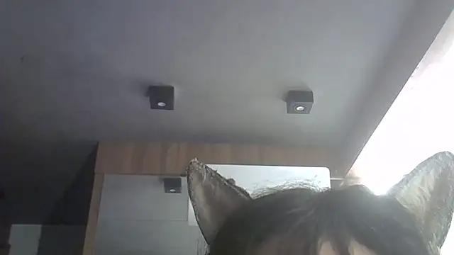 SkinnyKitten webcam