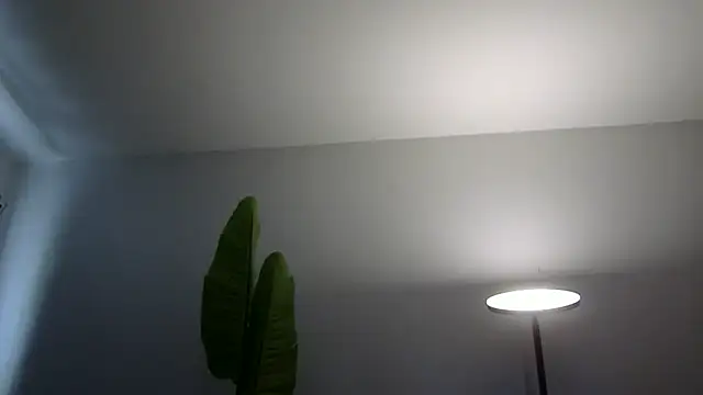 WetFlower69 webcam