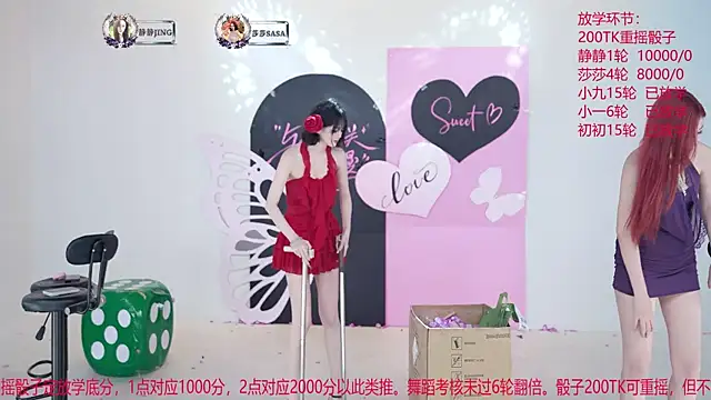 TY-002 webcam