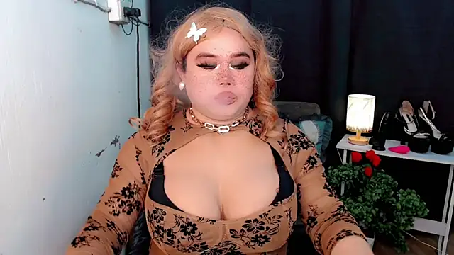 Goddes12inchTS webcam