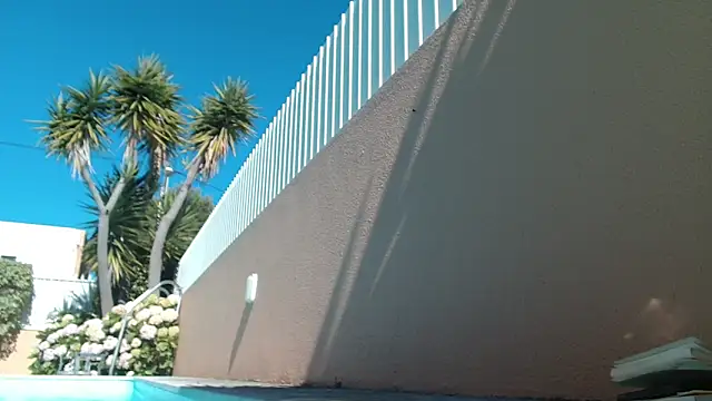 aircum99 webcam