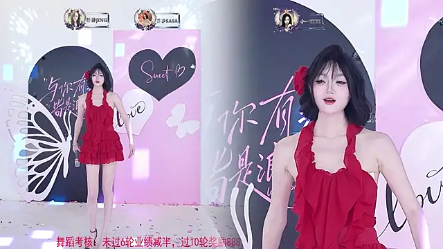 TY-002 webcam