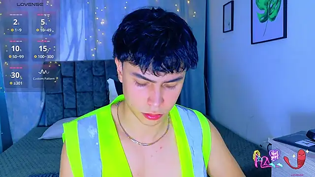 Dantekent webcam