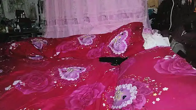 hebe-02 webcam