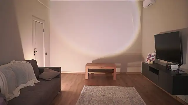 AdaBell webcam