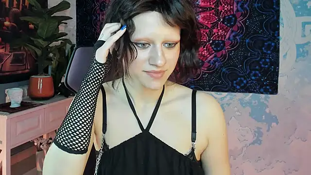 LidaDarknet webcam
