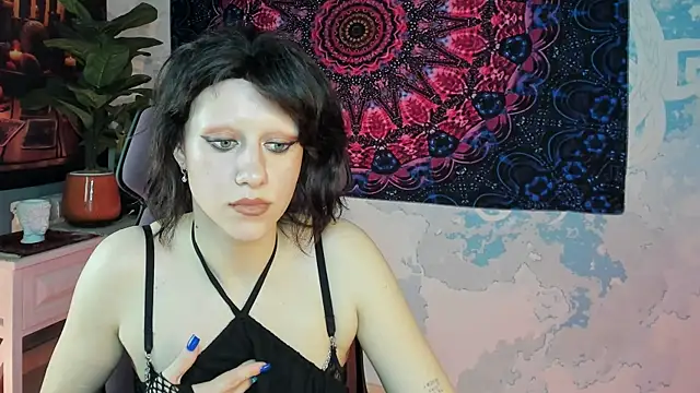 LidaDarknet webcam