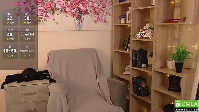 Sue_Sanders webcam