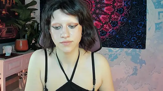 LidaDarknet webcam
