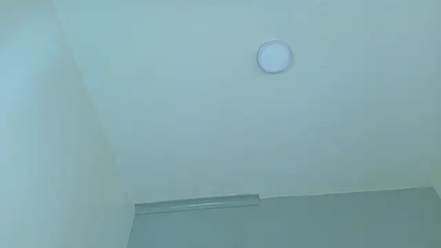 LexaDominant__ webcam