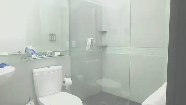 Yankeedave420 webcam