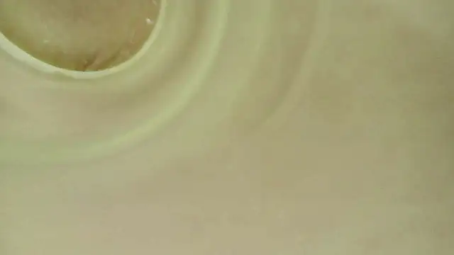shannon_kinne_ webcam