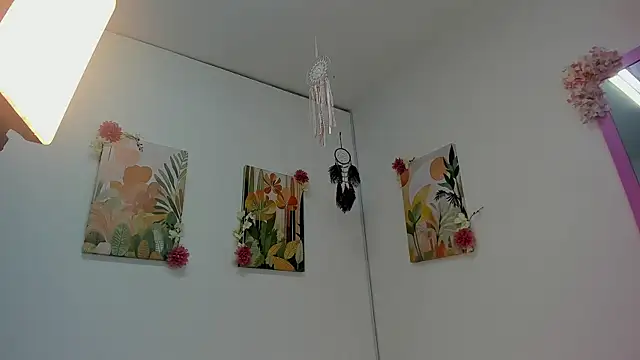 Vanes_hontter webcam
