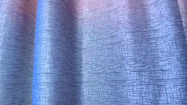 Eda_Bonne webcam