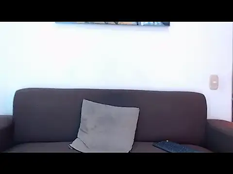 JaySmit_ webcam