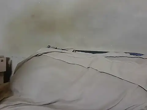 fitbuddy1 webcam