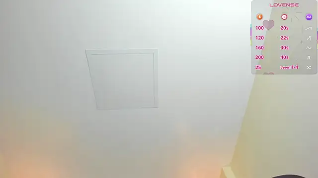 MAGIEVANS1 webcam