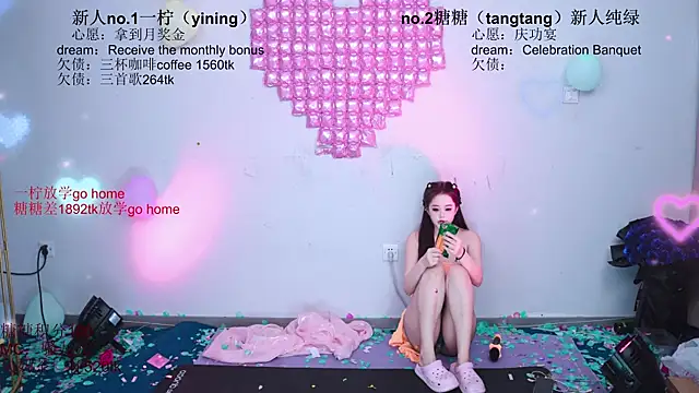 CCTW-100 webcam
