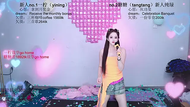 CCTW-100 webcam
